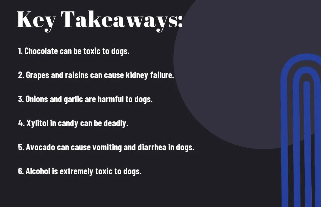 5 foods to avoid feeding your dog