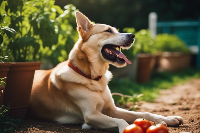 Can dogs eat tomatoes with skin